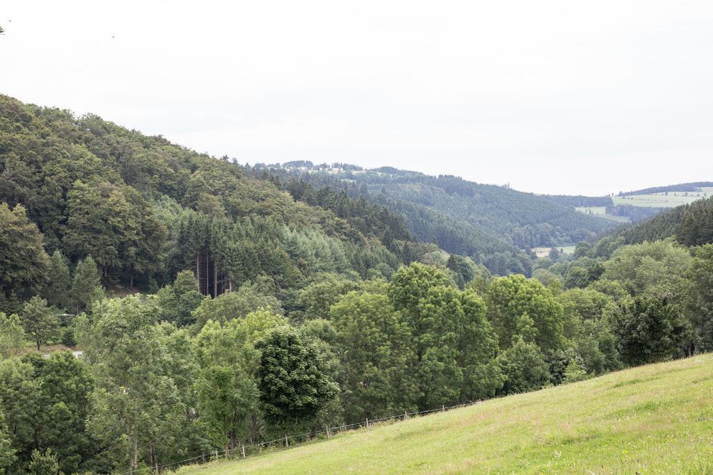 Ferienwohnung Ruhenest Willingen  Esterno foto
