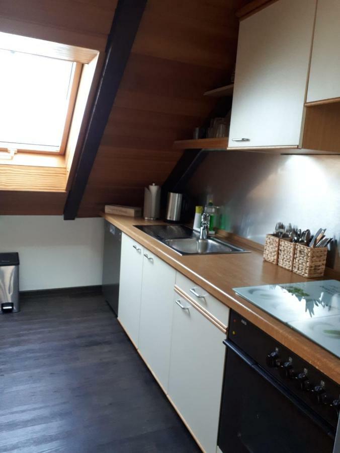 Ferienwohnung Ruhenest Willingen  Esterno foto