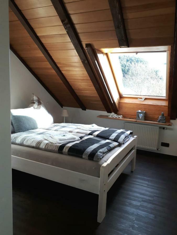 Ferienwohnung Ruhenest Willingen  Esterno foto